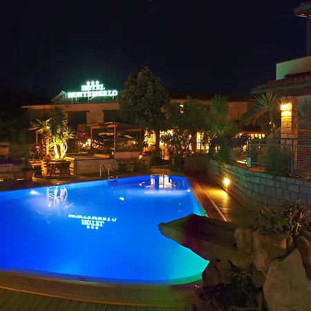 Montemerlo 3*