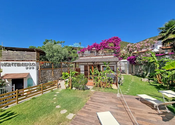 Eco Montemerlo 费托瓦亚