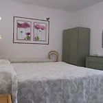 Eco Montemerlo 3*